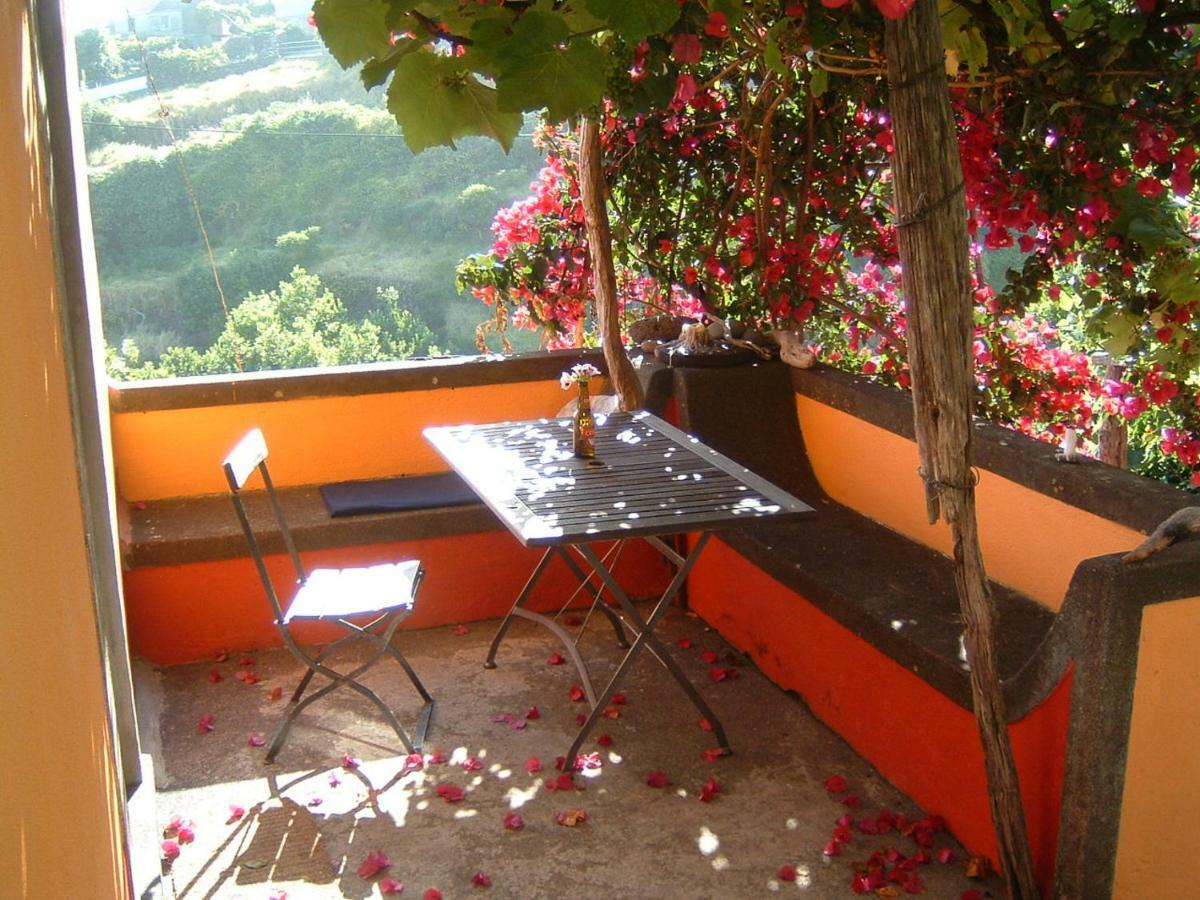 Madeira-Meerblick-Haus Estreito Da Calheta Eksteriør billede