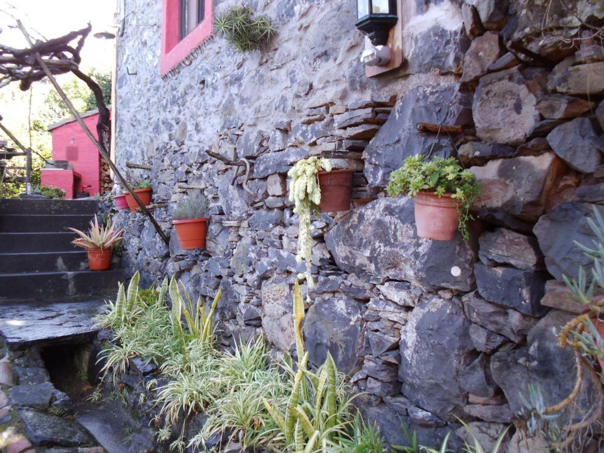 Madeira-Meerblick-Haus Estreito Da Calheta Eksteriør billede