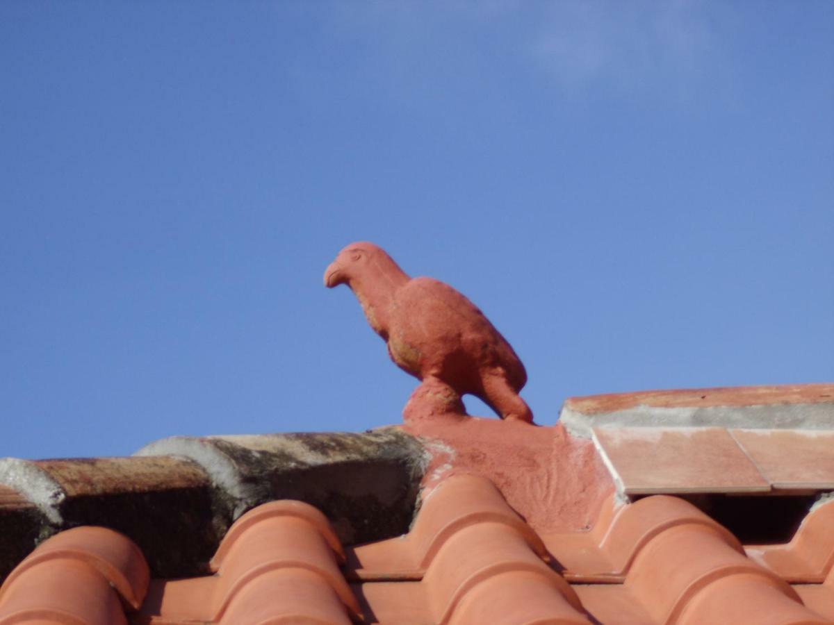 Madeira-Meerblick-Haus Estreito Da Calheta Eksteriør billede