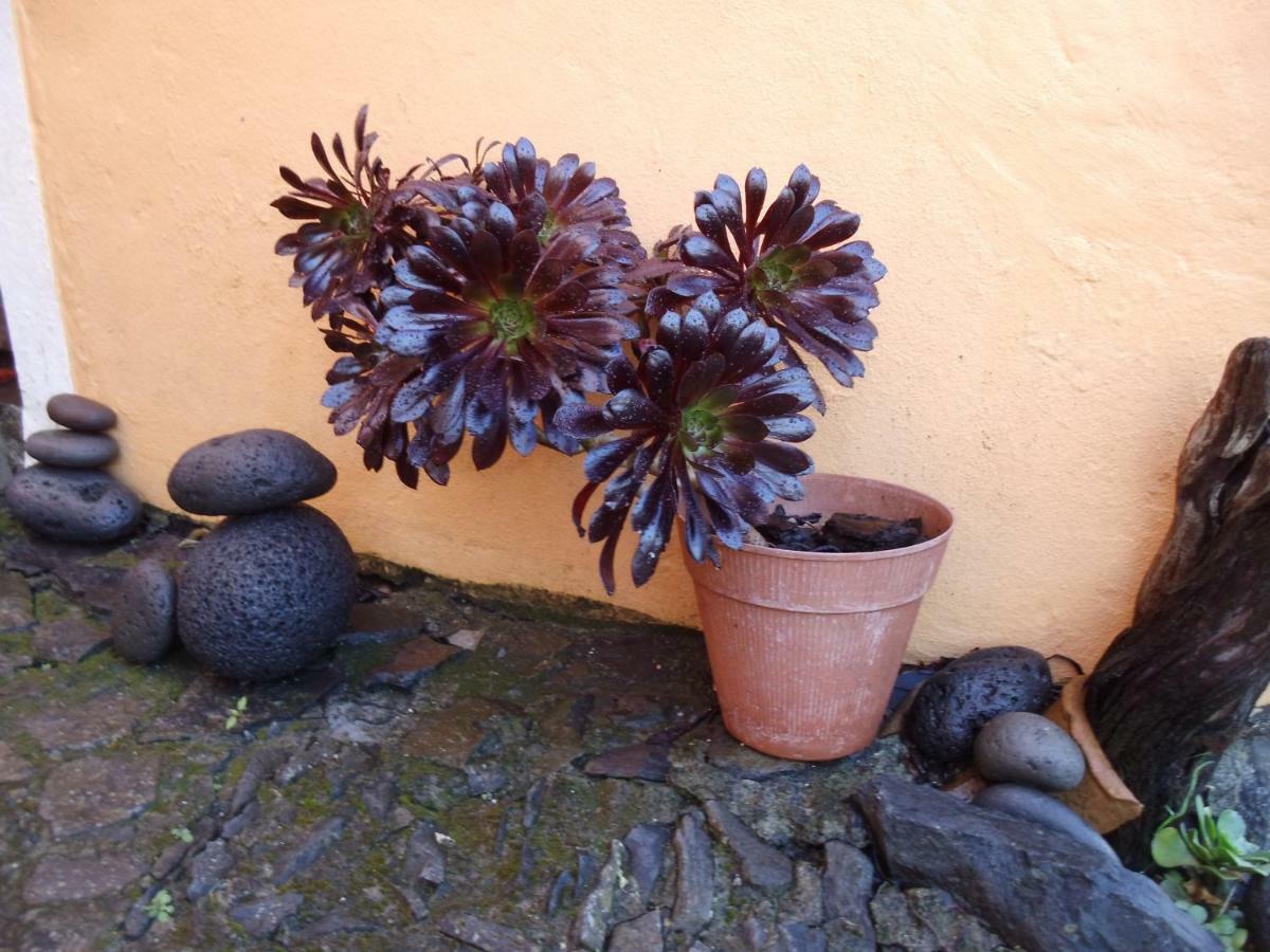 Madeira-Meerblick-Haus Estreito Da Calheta Eksteriør billede