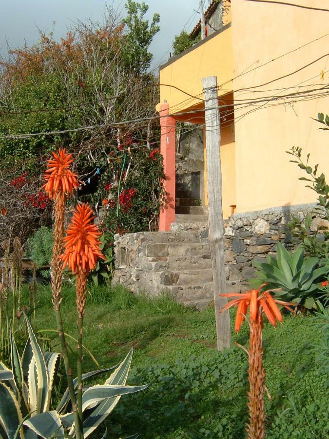 Madeira-Meerblick-Haus Estreito Da Calheta Eksteriør billede