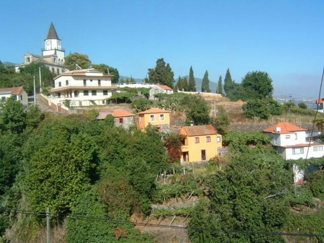 Madeira-Meerblick-Haus Estreito Da Calheta Eksteriør billede