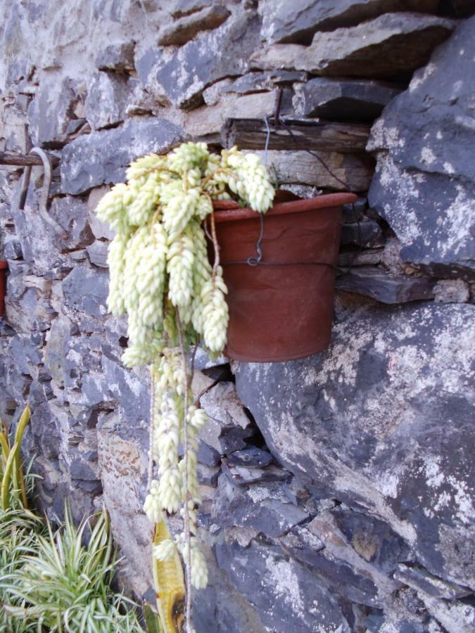 Madeira-Meerblick-Haus Estreito Da Calheta Eksteriør billede